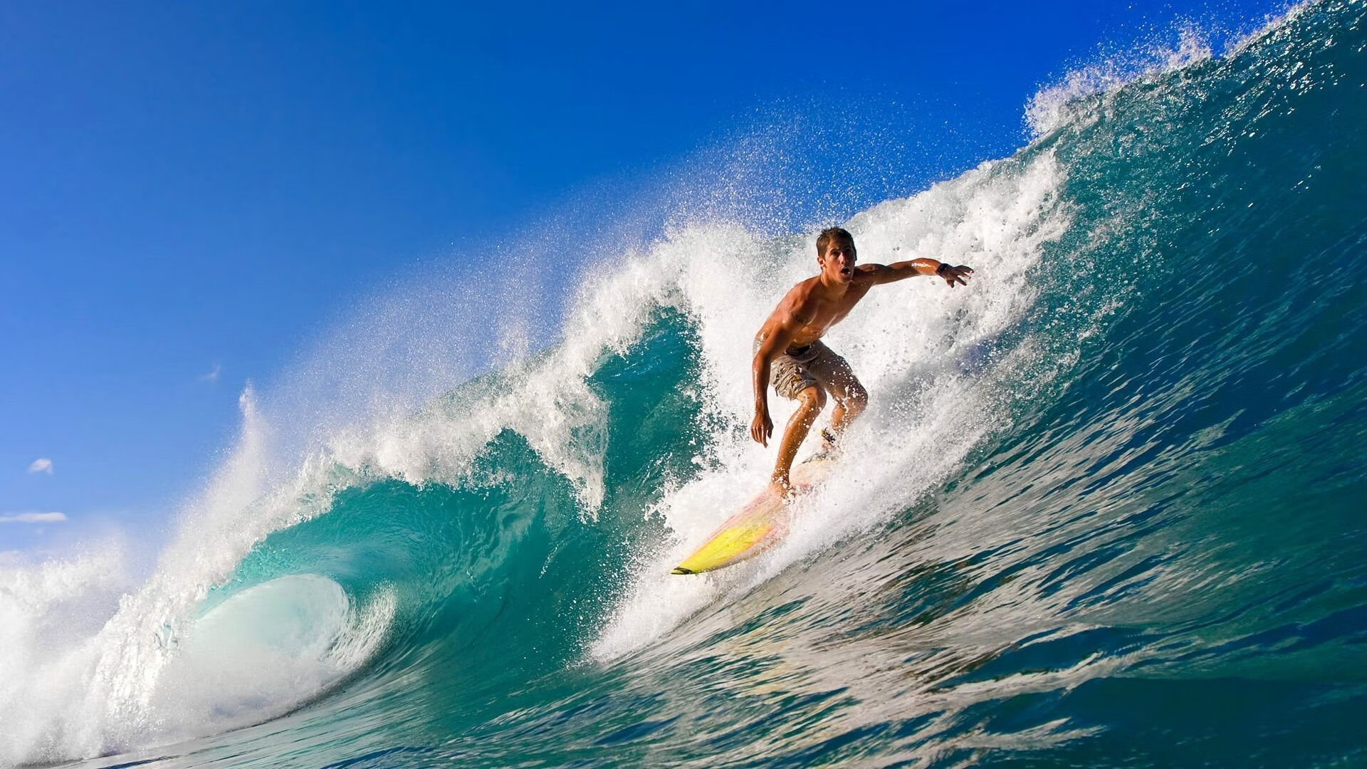 球迷文化新浪潮，从看台到社区，体育精神如何重塑城市凝聚力